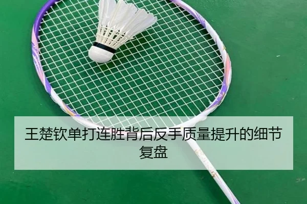 王楚钦单打连胜背后反手质量提升的细节复盘 | kaiyun